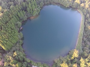 上空から見るときれいな円形の池です。